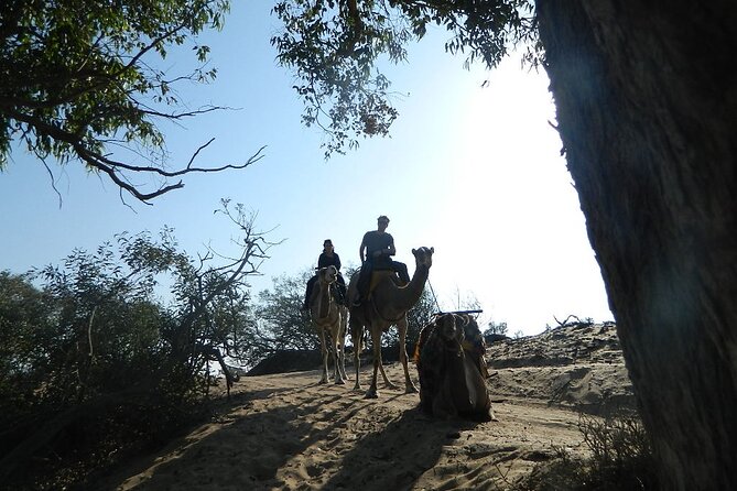 3 hours Camel Ride in Essaouira, beach and dunes - A family outing with clear age rules