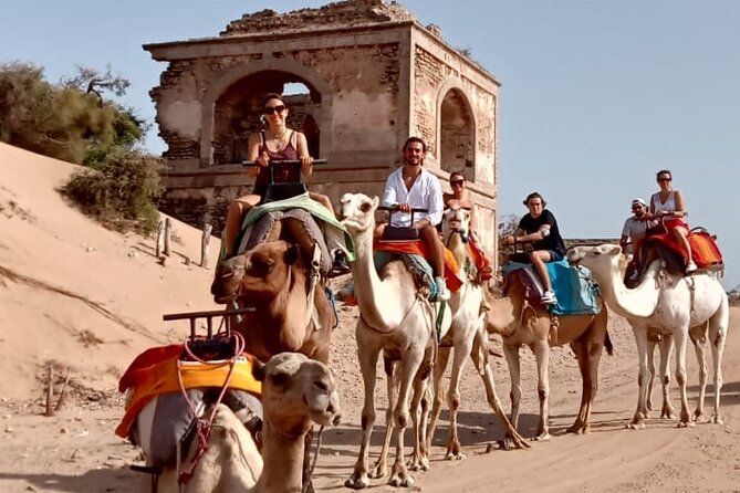 3 hours Camel Ride in Essaouira, beach and dunes - What $75.60 buys you