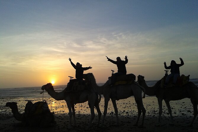 3 hours Camel Ride in Essaouira, beach and dunes - The dromedary ride along Essaouira Beach