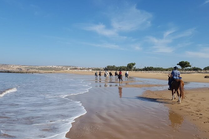 3 hours horse riding in Essaouira, beach, forest and dunes - The beach ride and ocean views