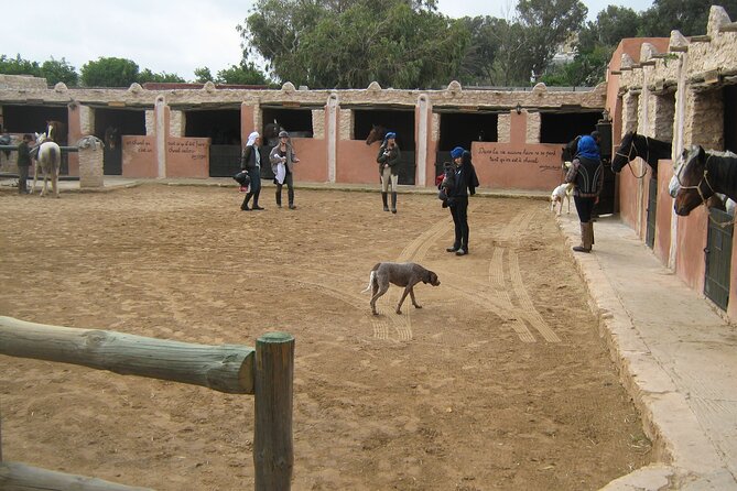 3 hours horse riding in Essaouira, beach, forest and dunes - Dunes and a small fishing village