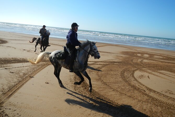 3 hours horse riding in Essaouira, beach, forest and dunes - How difficult are three hours in the saddle?