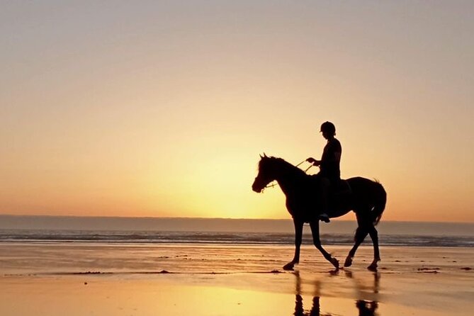 3 hours horse riding in Essaouira, beach, forest and dunes - What the $75.49 price includes