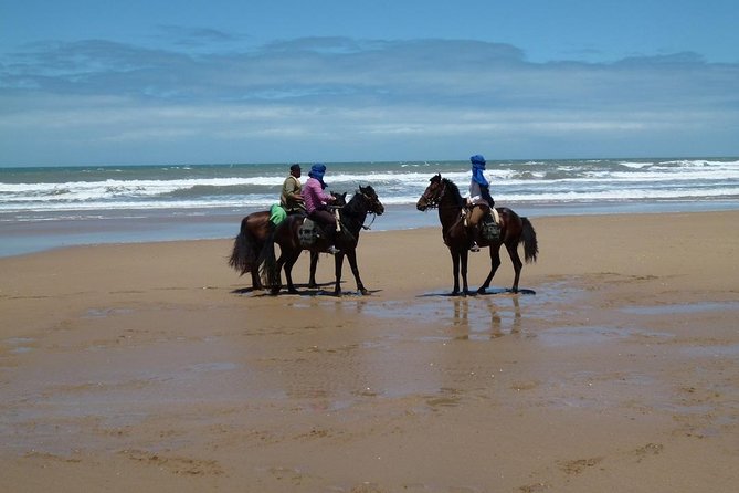 3 hours horse riding in Essaouira, beach, forest and dunes - Choosing the 10 a.m. or sunset departure