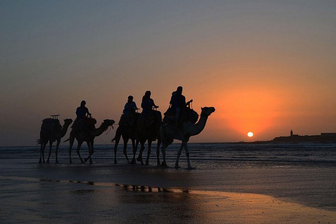 3 hours ride on camel at sunset - What makes the guides important