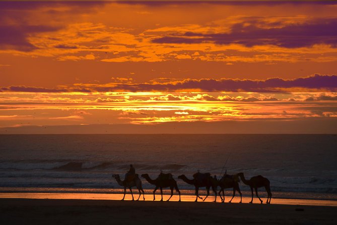 3 hours ride on camel at sunset - Is $52.14 a fair price?