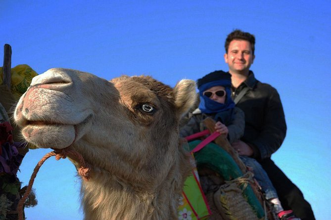 3 hours ride on camel at sunset - Portuguese Borj and the Cap Sim dunes