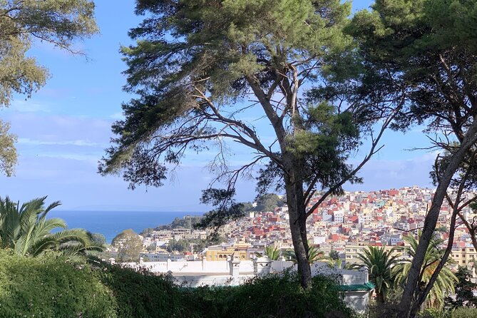 3h Private Walking Tour in Tangier Kasbah Medina & Colorful Souks - Twenty minutes at the Kasbah Museum