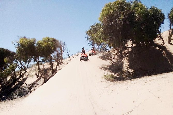 3h quad bike: Thrills in the beach and dunes - Is $69.79 good value?