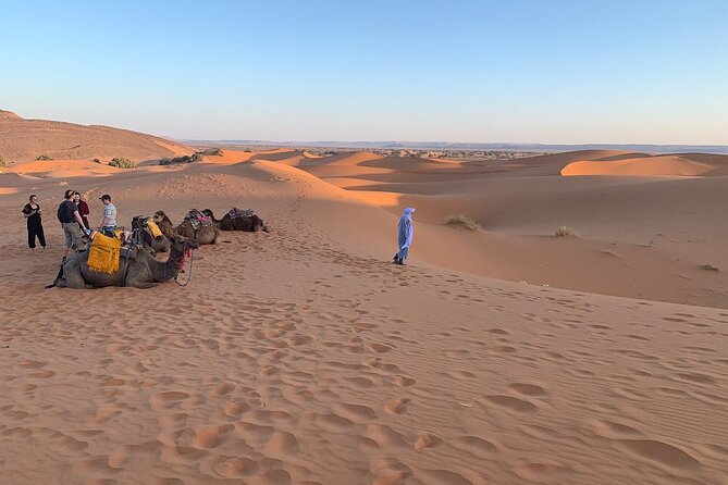 4×4 Jeep Desert Safari Tour with Lunch and Camel Ride - A full day from Agadir to the Massa Valley