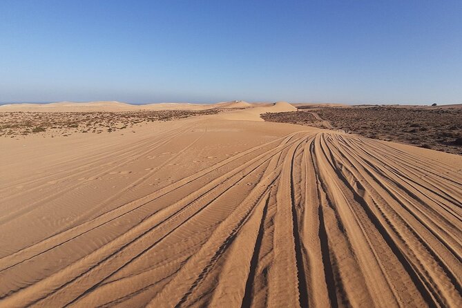 4×4 Jeep Desert Safari Tour with Lunch and Camel Ride - The camel ride and the reality of the desert stop