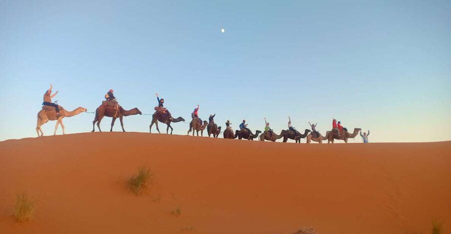 4-Day Marrakech to Merzouga Sahara Adventure & Camel Trek - Day 3: Sunrise, camels, and Monkey Fingers