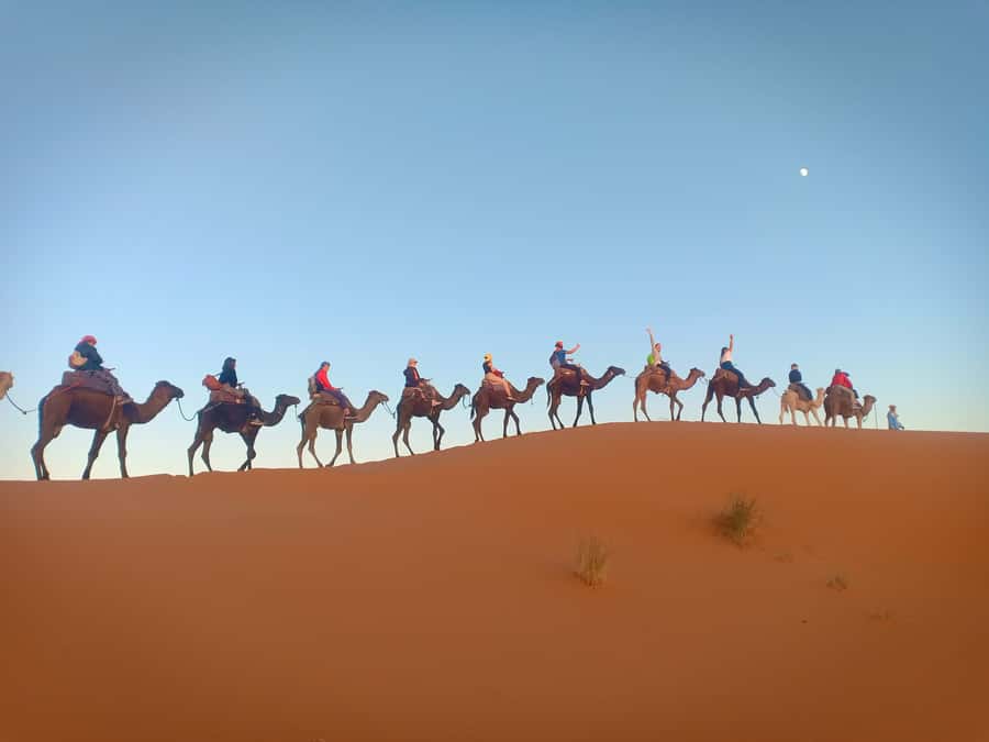 4-Day Marrakech to Merzouga Sahara Adventure & Camel Trek - The guides and the small-group setup