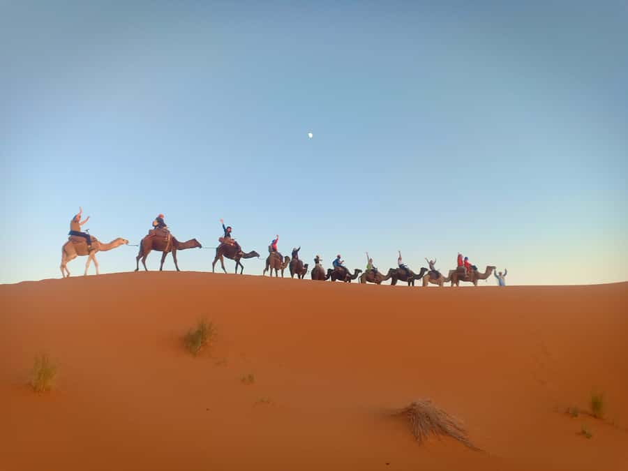 4-Day Marrakech to Merzouga Sahara Adventure & Camel Trek - Who should book this Sahara trip?