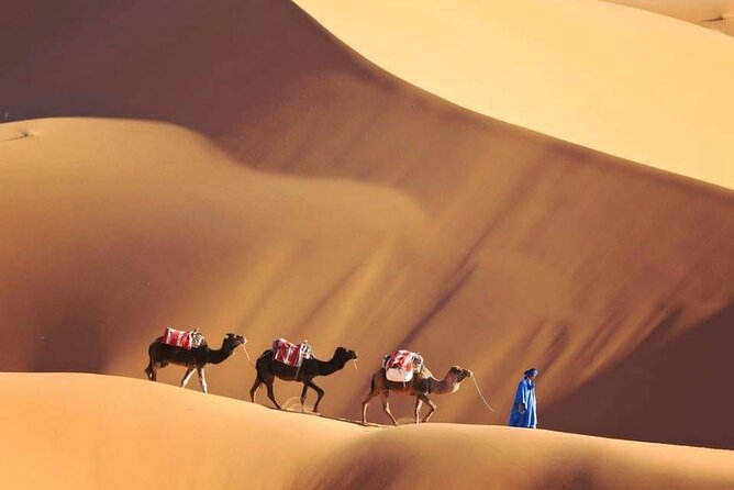 4 Day Sahara Desert Trip From Marrakech: Marrakesh - Sahara Desert - Marrakesh - The Draa Valley and the Long Run Toward Merzouga