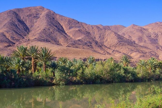 4 Day Sahara Desert Trip From Marrakech: Marrakesh - Sahara Desert - Marrakesh - Sunrise, Erfoud, and Todra Gorge