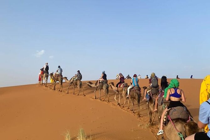 4 Days Desert Tour From Marrakech to Fes via Merzouga Dunes - Day 3: Khamlia music, nomadic visits, and a slower Sahara day