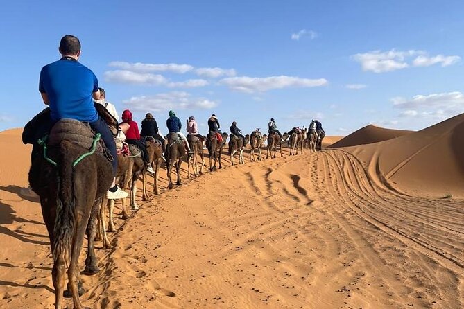 4 Days Desert Tour From Marrakech to Fes via Merzouga Dunes - Day 4: Sunrise camel trek and the long road to Fes