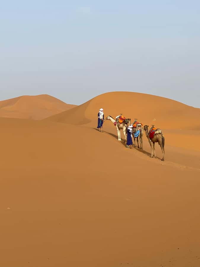 4 days Sahara Desert Tour From Marrakech To Merzouga dunes - What $182 covers on this Morocco desert route