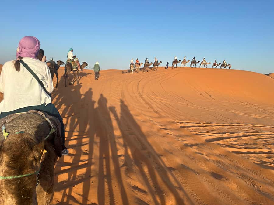 4 days Sahara Desert Tour From Marrakech To Merzouga dunes - Day two: Todra Gorge, Tinghir, and the Erg Chebbi dunes