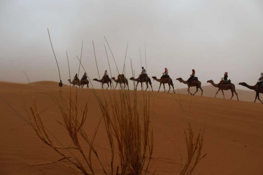 4 days Sahara Desert Tour From Marrakech To Merzouga dunes - Day one: crossing the Atlas Mountains to Ait Ben Haddou