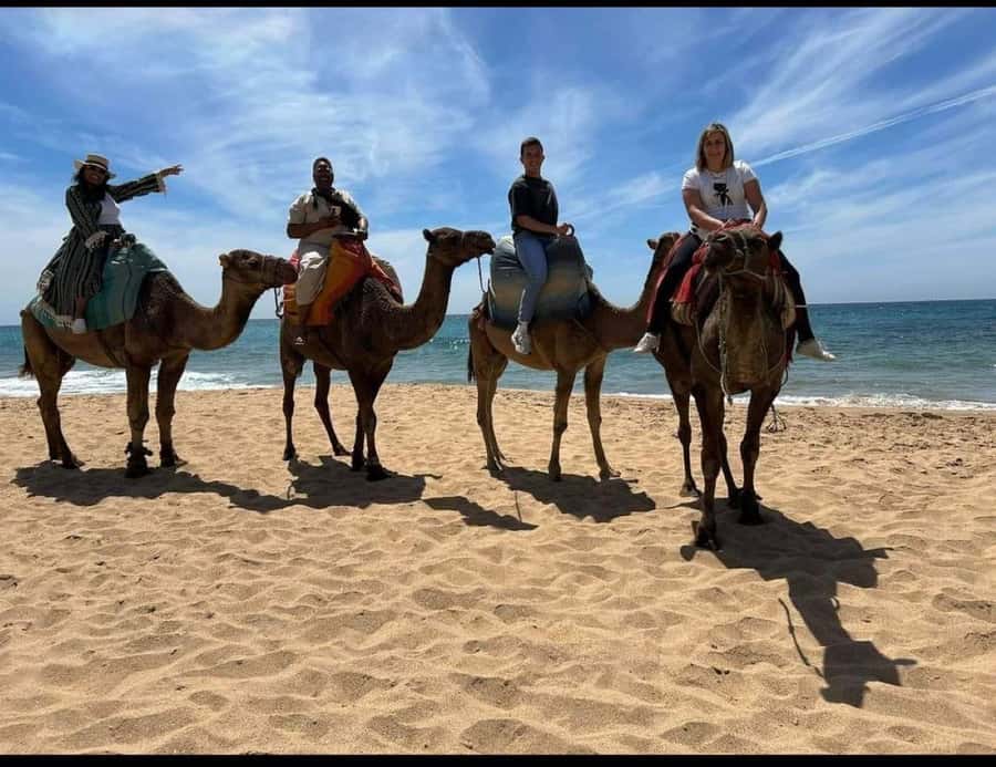 4 Hours Deluxe Guided Tour of Tangier + A tour with camels - Museums and the city’s artistic side