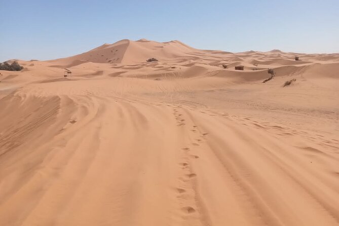 4WD Agadir Day Trip to Massa - A traditional Berber lunch in the countryside