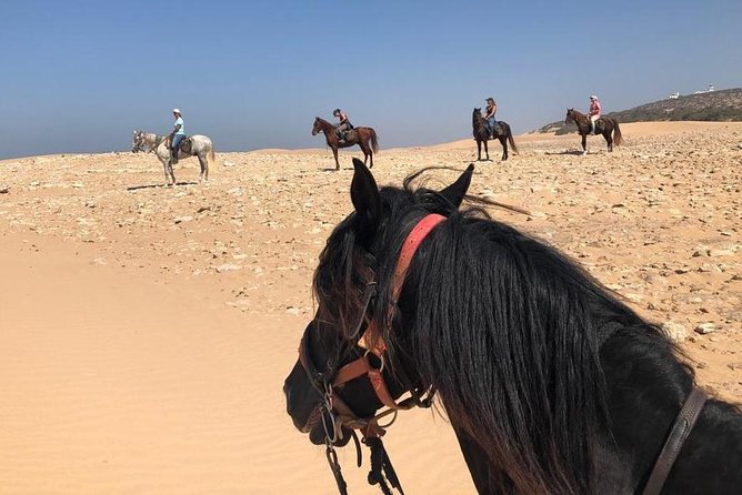 5 hours ride + picnic - Key points to know before booking