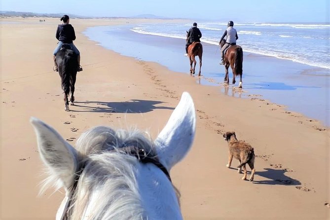 5 hours ride + picnic - Starting at the Diabat stable around 10 a.m.