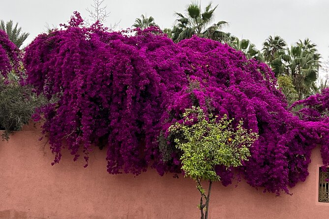 7 Days / 6 Nights Private Morocco Tour from Casablanca or Rabat - Day 3: Rose Valley roads and the walls of Todra Gorge