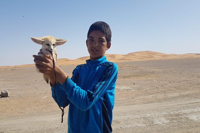 7-days: Casablanca to Chefchaouen then Fes and Sahara Desert - Camel Trekking - Roses, Skoura, Ait Ben Haddou, and the High Atlas