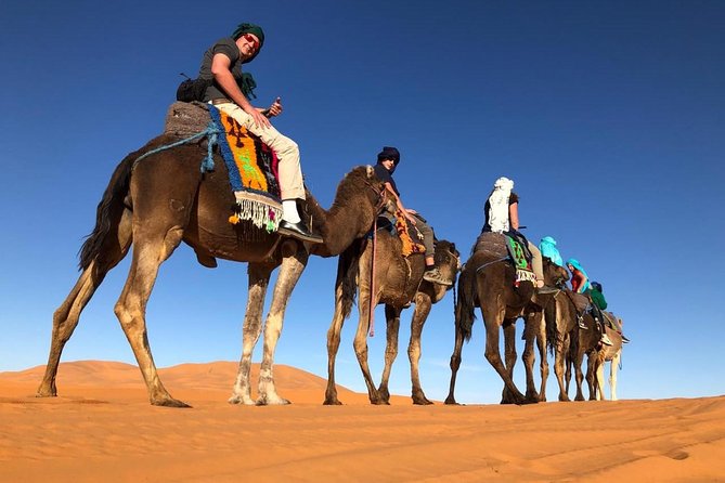 7-days: Casablanca to Chefchaouen then Fes and Sahara Desert - Camel Trekking - A guided Fes morning with the city’s old quarters