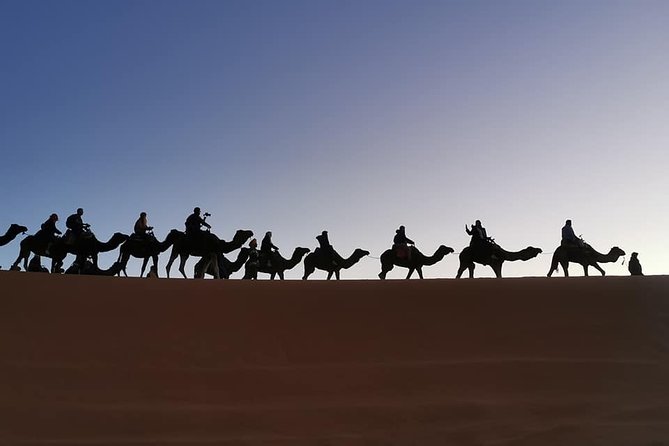 7 Days Discovery The Atlas Mountains & Luxury Sahara Desert From Casablanca - The Dades Valley and Aït Ben Haddou