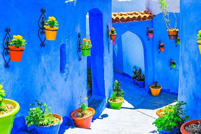 7 Days Luxury Desert Tour From Casablanca to Marrakech via fez -Camel trekking - Day 7: Airport transfer and your choice of ending city