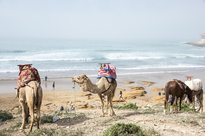 7 nights Surf Coaching Package in Morocco - The week at a glance