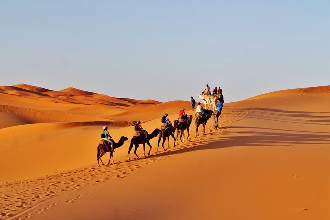 8 - Day Morocco Tour from Casablanca via Chefchaouen & Desert - Day 7: Marrakech’s monuments, gardens, and evening square