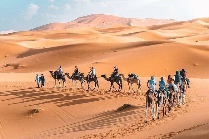 8D Morocco Luxury Private Tour From Casablanca By Imperial Cities - Rissani, Todra Gorge, and Dades Valley