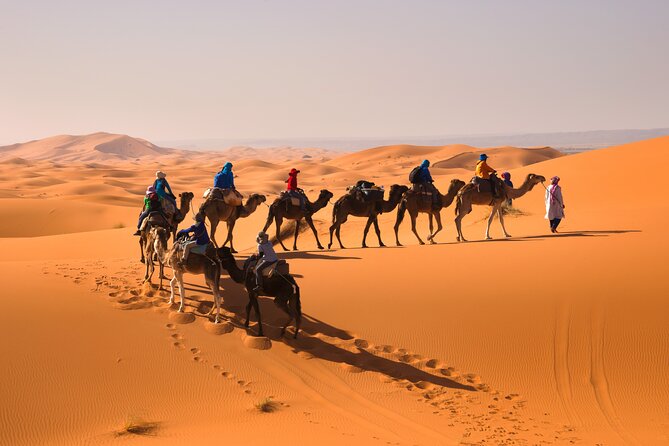8D Morocco Luxury Private Tour From Casablanca By Imperial Cities - Chefchaouen, Volubilis, and Meknes