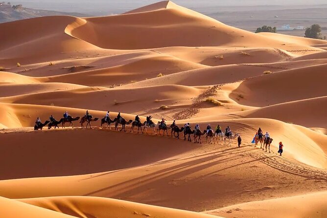 9 Days tour from casablanca to the desert via chefchauen , fez - Five hours inside the Fez medina