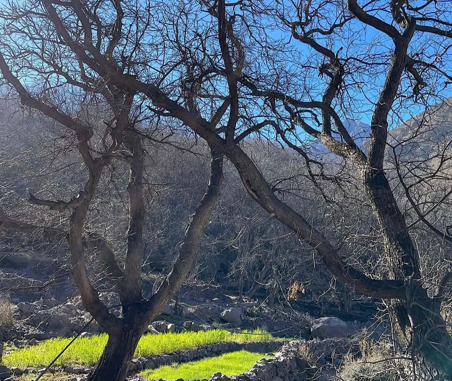 A Day With The Berbers - 3 Valleys Day Trip from Marrakech - What the $29 price really includes