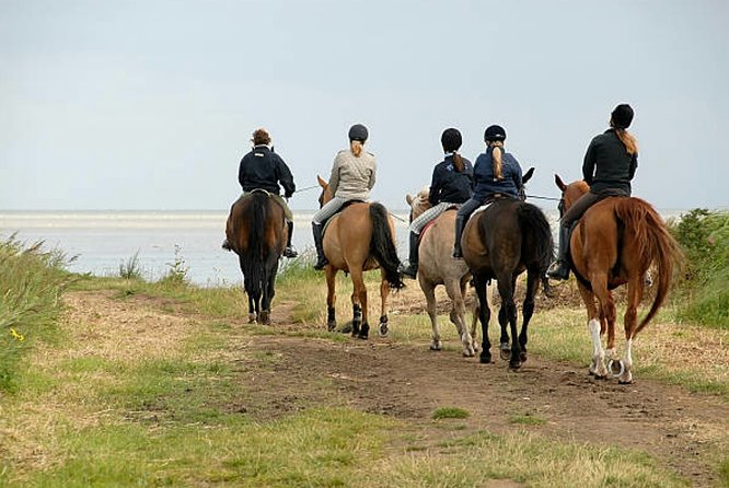 Agadir 2-Hour Horse Riding Experience with Pickup - What the $40.65 price really covers