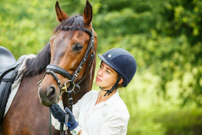 Agadir 2-Hour Horse Riding Experience with Pickup - Who will enjoy this Agadir horse ride?