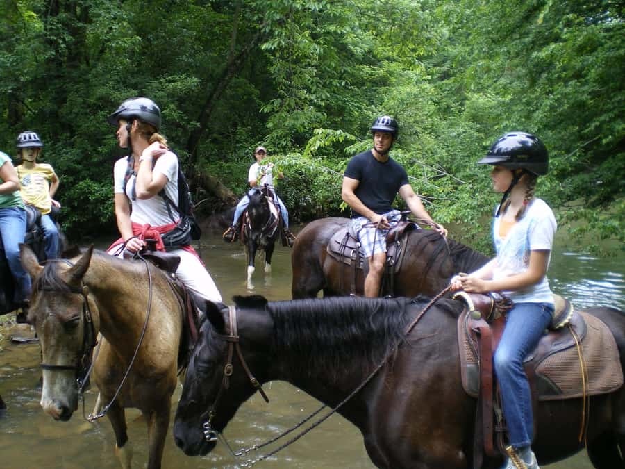 Agadir 2hours Horse Riding visite the flamingo river - What happens after the ride