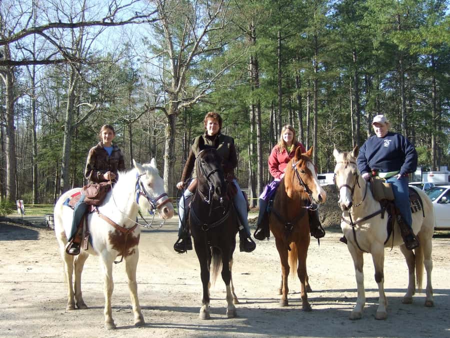 Agadir 2hours Horse Riding visite the flamingo river - Hotel transfers and the practical side