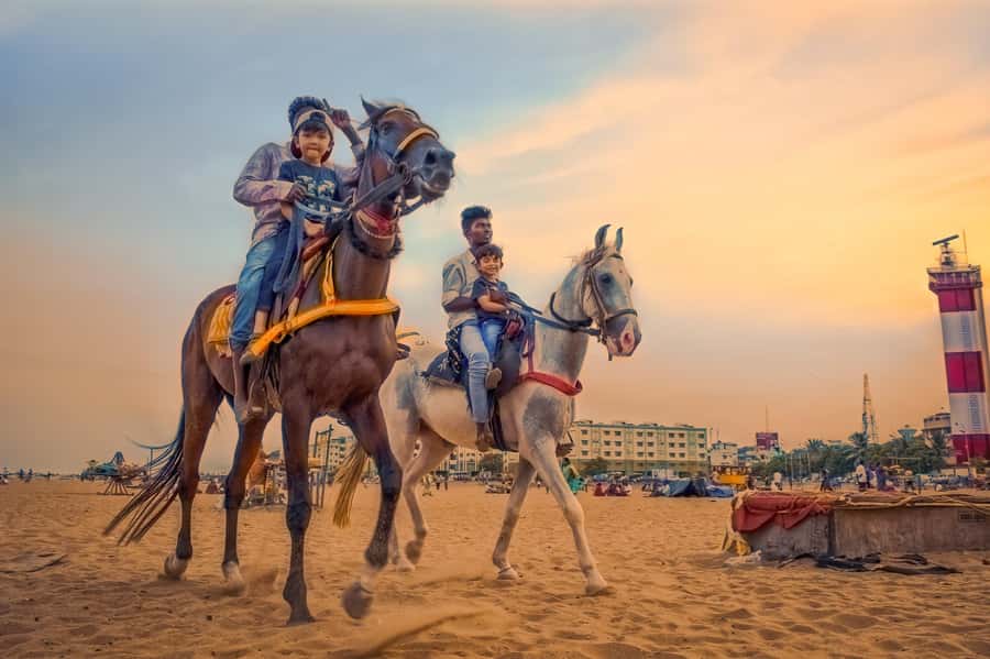 Agadir 2hours Horse Riding visite the flamingo river - Leaving Agadir for dunes and eucalyptus trees