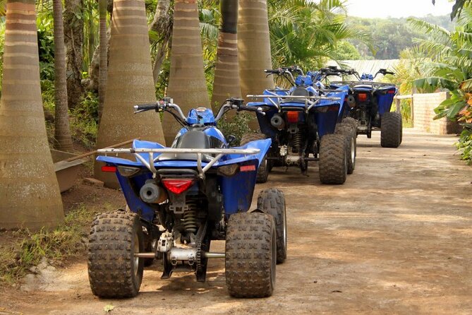 Agadir Adventure Tour with Quad Biking Experience - Is $47.12 good value?