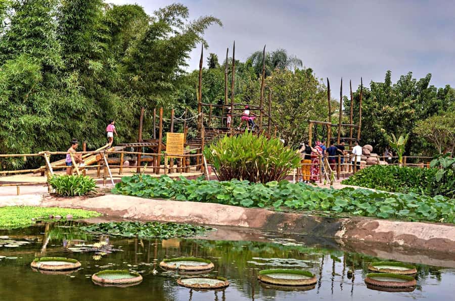 Agadir: Agadir Crocodile Park Adventure - Seeing 300 Nile crocodiles up close