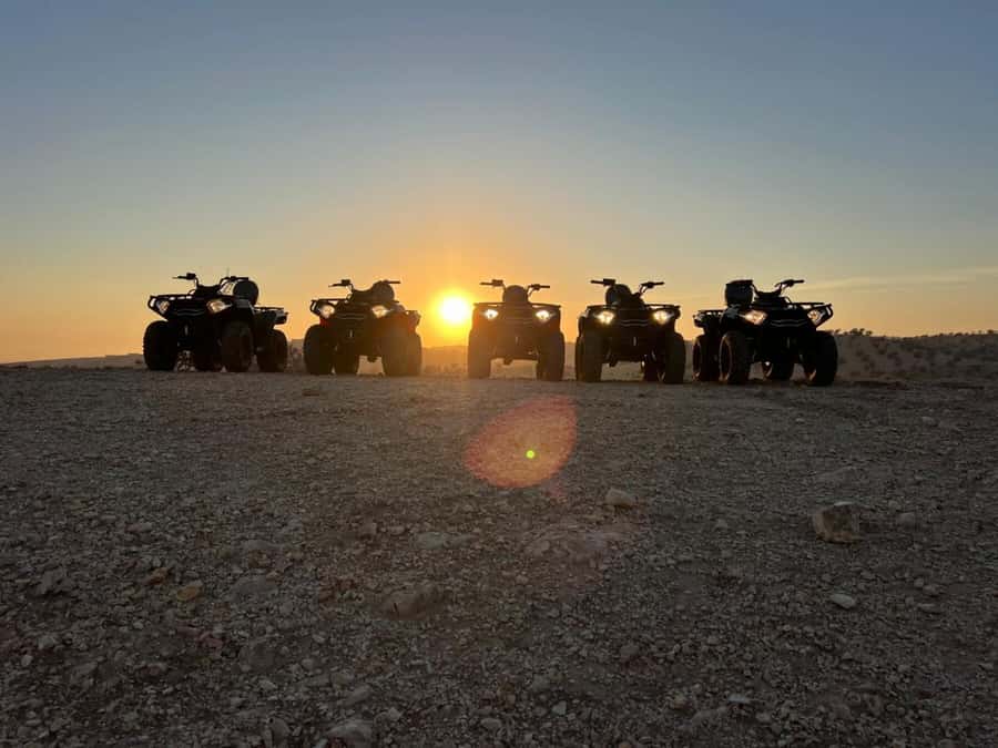 Agadir: Agafay Desert Quad Biking With Goats On The Tree - How the guides affect the experience