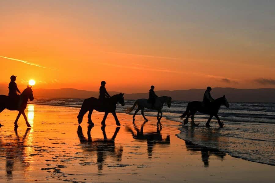 Agadir and Taghazout: 2-Hour Horseback Ride on the Beach - Key points at a glance
