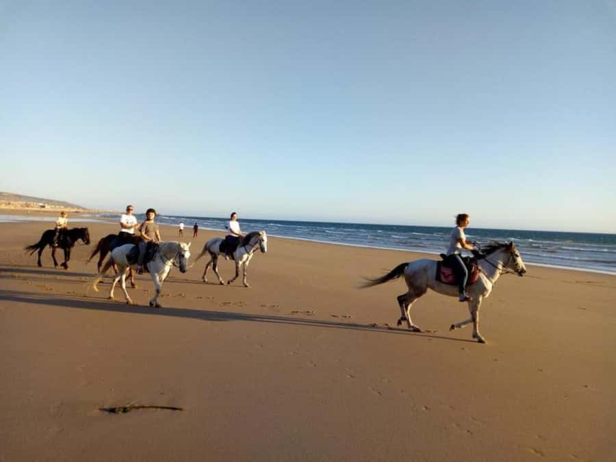 Agadir and Taghazout: 2-Hour Horseback Ride on the Beach - Who should book this ride?